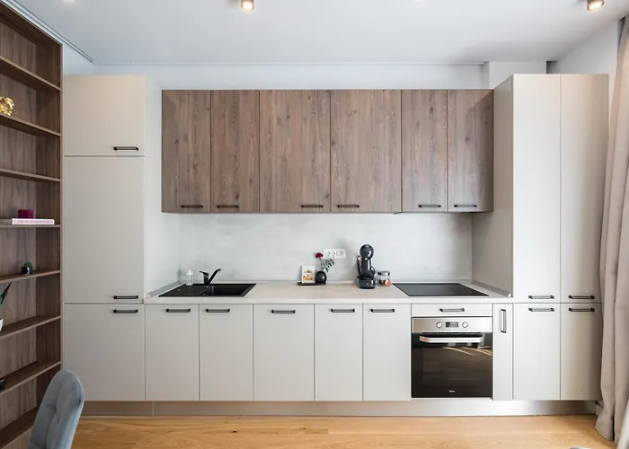 Cozy Business Area 1br Near Aviatiei *